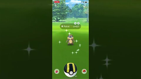 Shiny Compilation