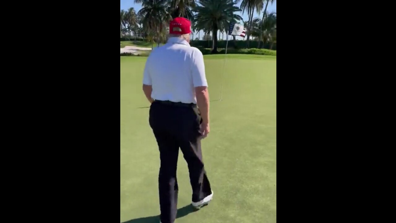 PRESIDENT TRUMP - JUST HIT A HOLE IN ONE! - THOUGHTS?