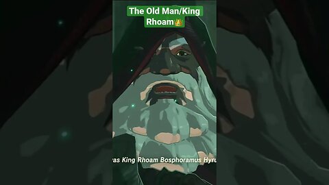 The Old Man/King Rhoam: The Legend of Zelda: Breath of the Wild