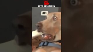 A GLOBO TÁ PERDENDO ESSE ATOR
