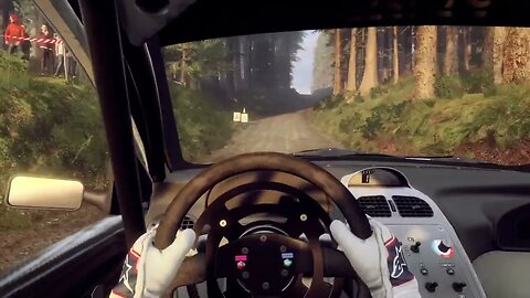 DiRT Rally 2 - 206 Expedition Through Sweet Lamb