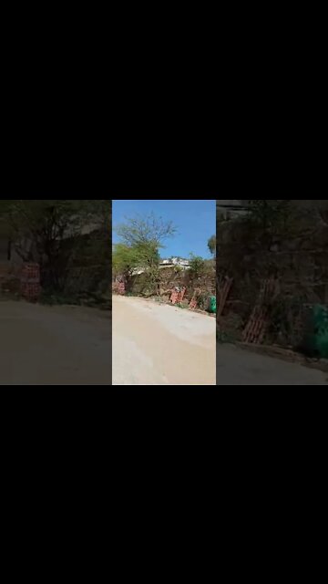 mohan baba 🙏🙏 #youtubeshorts #shorts #youtube #shortvideo #shortyoutube