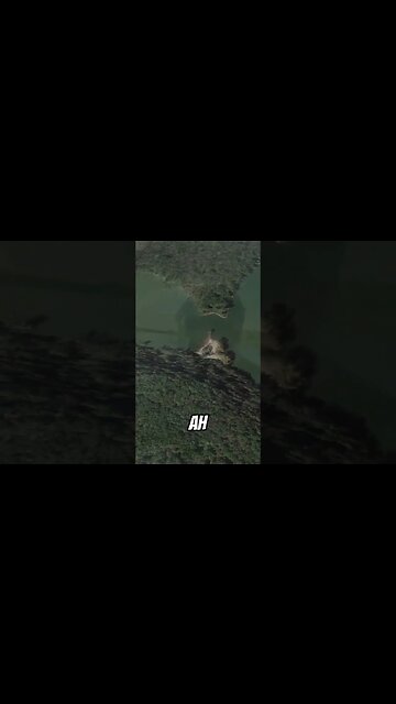 The Kayak is Still There - The River Adventure Continues