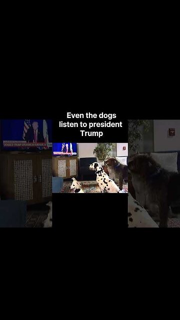 When Trump talks you listen