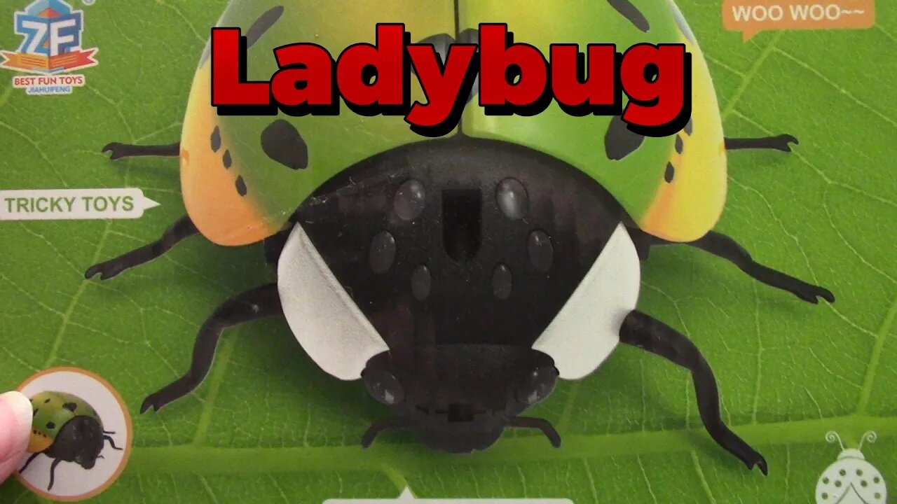 Amazon ZF Ladybug Review! 🐞