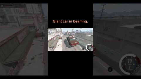 everything is allowed / BeamNG DRIVE