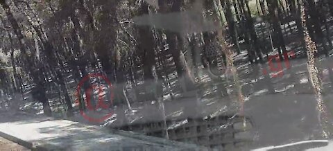 Οδοιπορικό φρίκης στο απανθρακωμένο σεληνιακό τοπίο της Αττικής