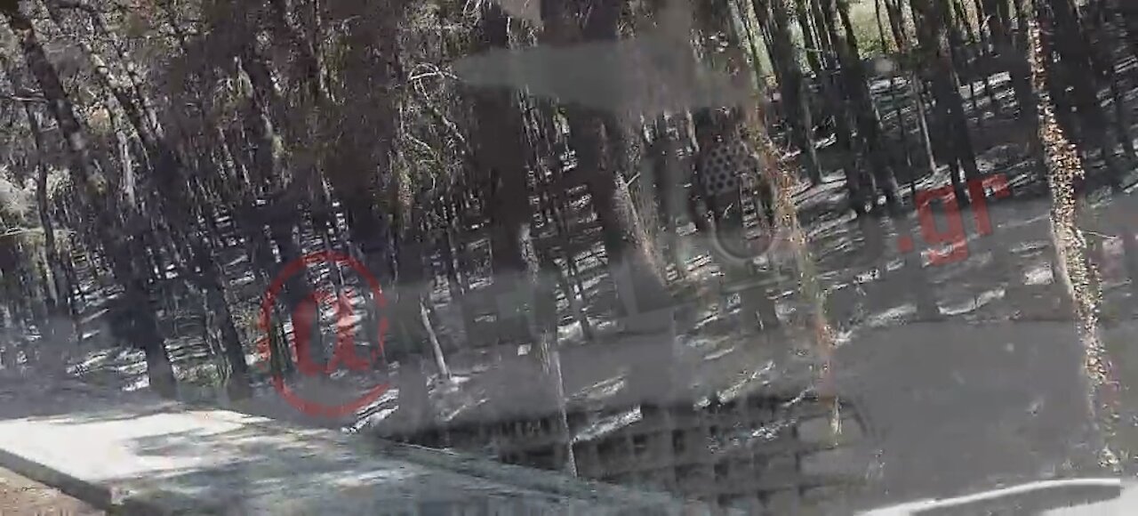 Οδοιπορικό φρίκης στο απανθρακωμένο σεληνιακό τοπίο της Αττικής