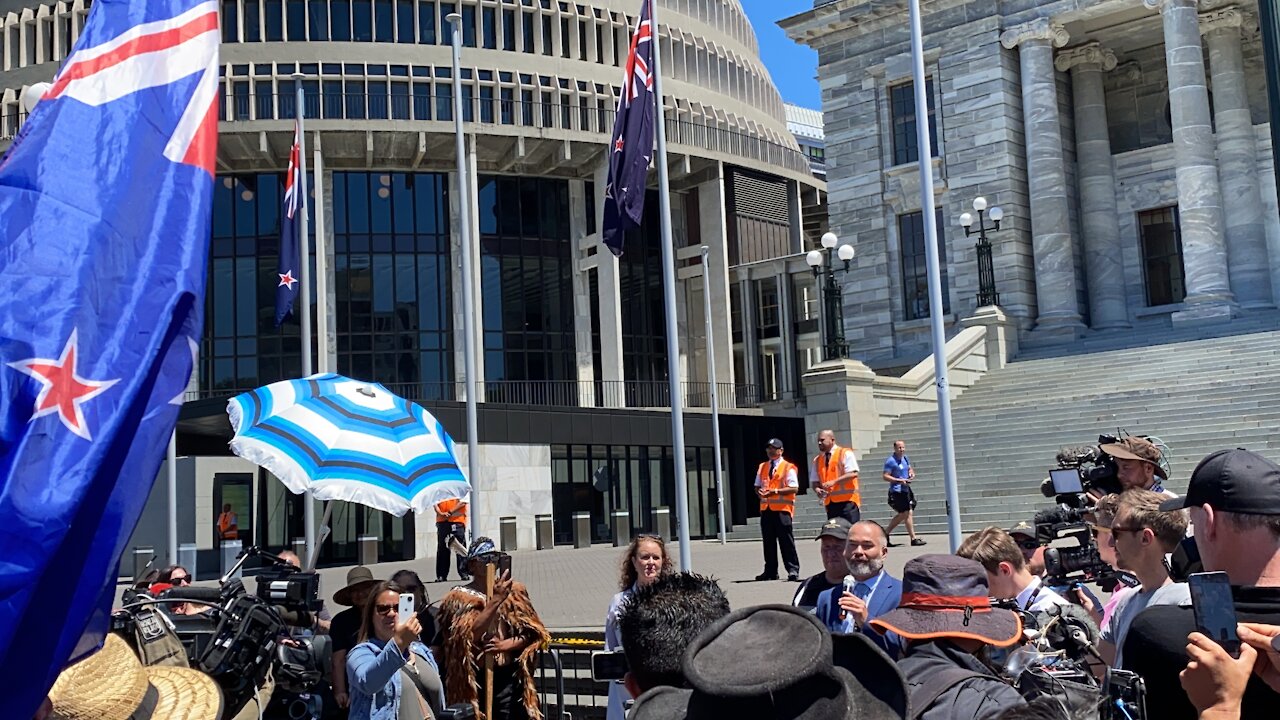 Wellington Anti Lockdown Protest 14012021