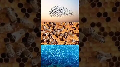 "Unlocking the Secrets: Everything Around You Are Mathematics | Math Explained" || #Mathematics