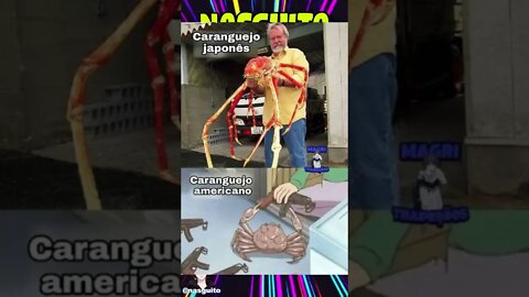 Memes em imagens - CUECA E O OVO DE FORA #shorts