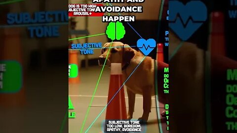 🐶🥏Uncovering the Surprising Link Between 🍪Subjective Tone💓 and 🧠Subjective Aim🎯 in Play+