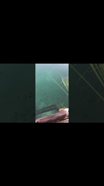 ACHEI O PARAISO PERTINHO DA CIDADE #tiktok #viral #natureza #lindo #deusnocomando #fy #shorts