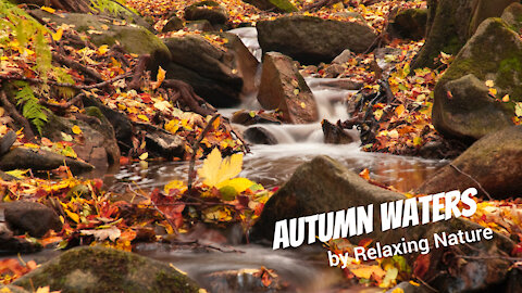 Autumn Waters - 60 minutes ofBeautiful, Relaxing Nature Music for Study, Work, Meditation, Sleep