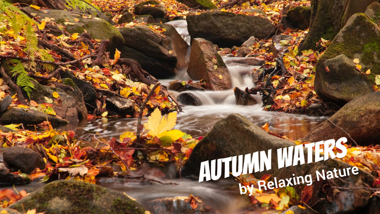 Autumn Waters - 60 minutes ofBeautiful, Relaxing Nature Music for Study, Work, Meditation, Sleep