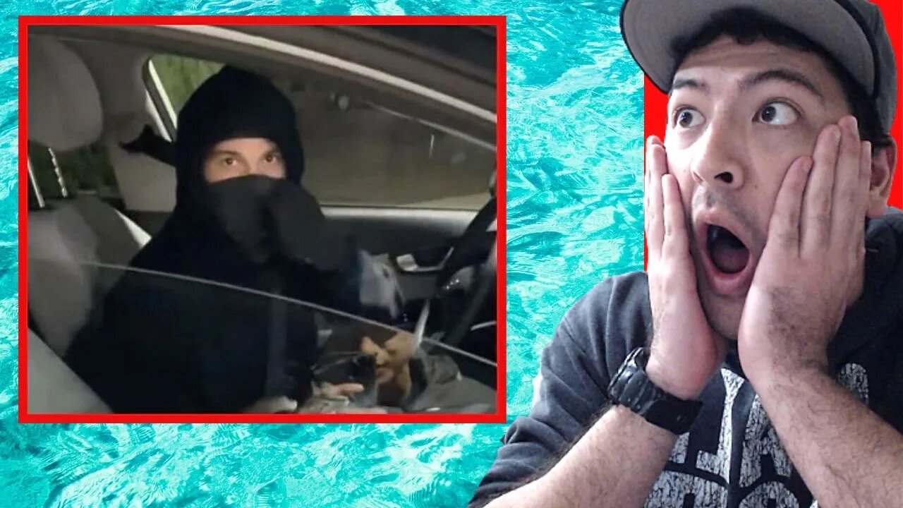 ELON MUSK'S STALKER IS INSANE