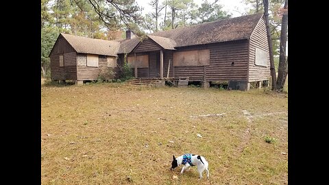 Mystery buildings in the woods