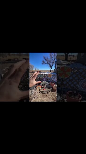 Most Amazing and trending video||relaxing your mind||trendig videos|| #shorts #trending #viral #live