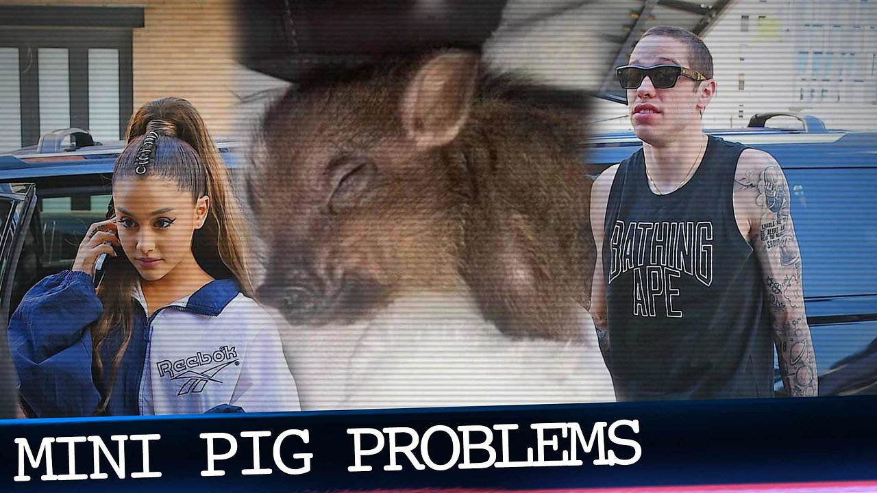 Ariana Grande's Piggy Smallz Suffers the Most in Pete Davidson Breakup