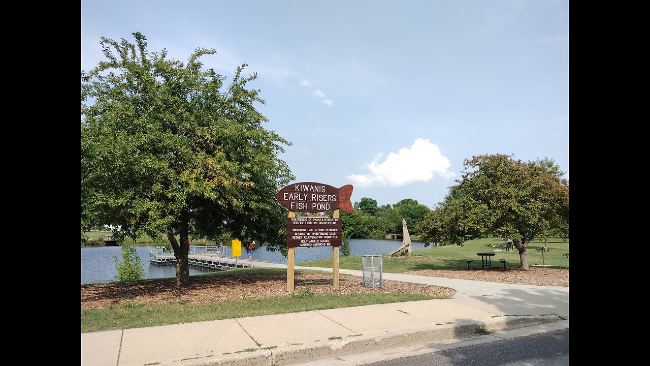 Men Save Goose in Park