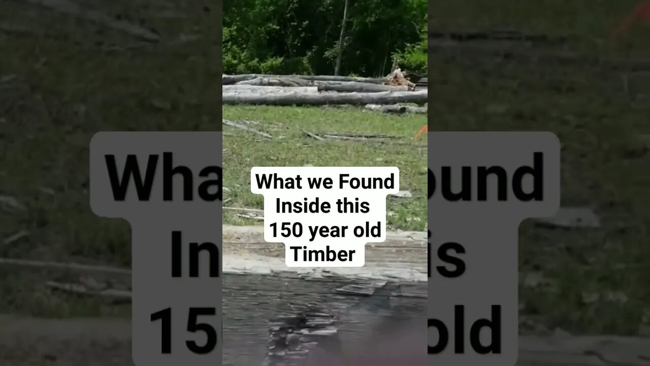 What we found inside this 150 year old timber. #woodworking