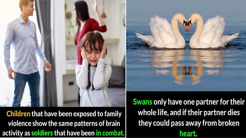Did You Know Facts|Unknown Facts|Fun Facts|Amazing Facts|Wow Facts|Facts Part #22