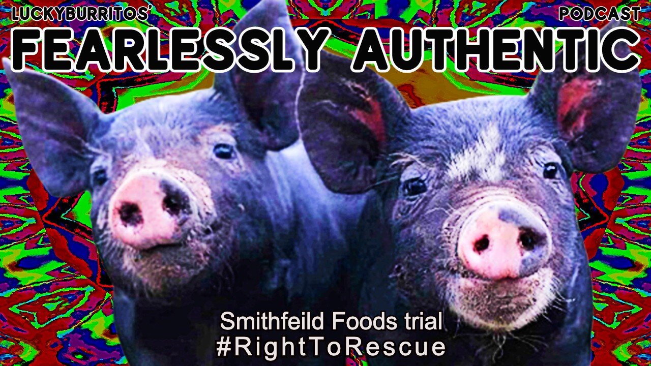 Fearlessly Authentic - You are what what you eat #RightToRescue