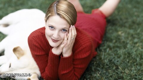 Chris De Burgh - Lady In Red - Legendado