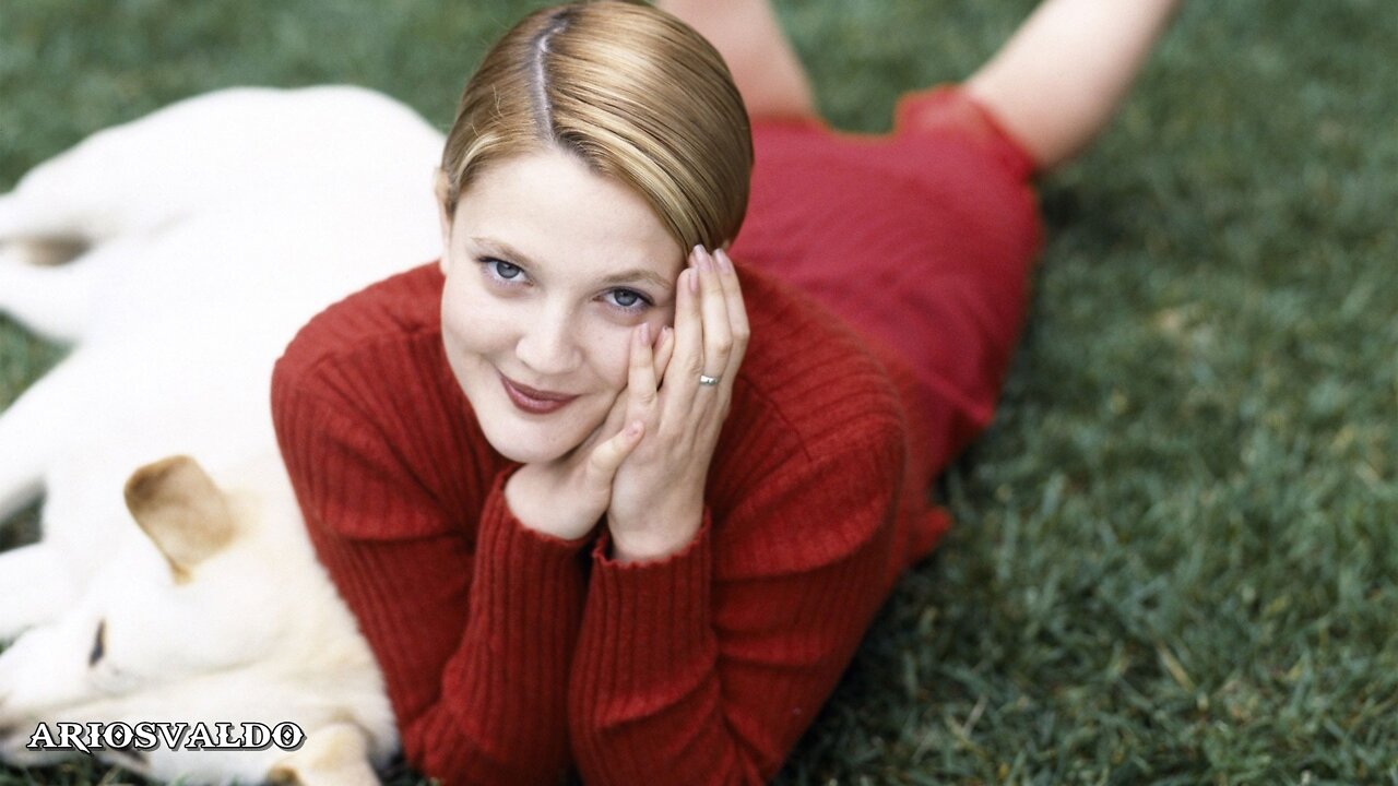 Chris De Burgh - Lady In Red - Legendado