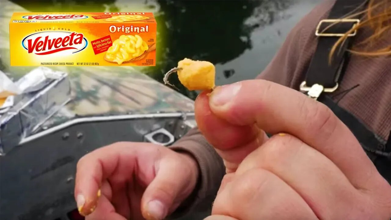 CATCH MORE Trout Than Your Friends! Velveeta Cheese From Grocery Store.