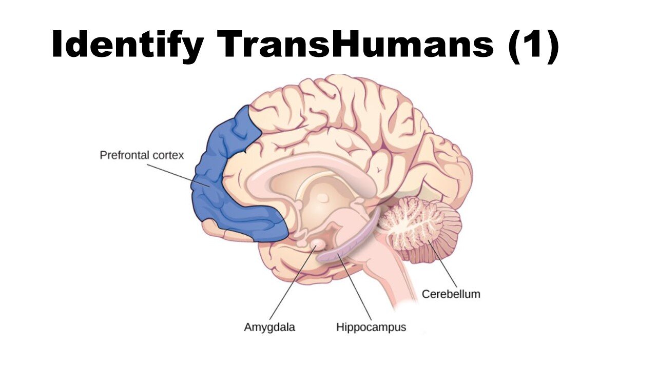 Identify Transhumans 1