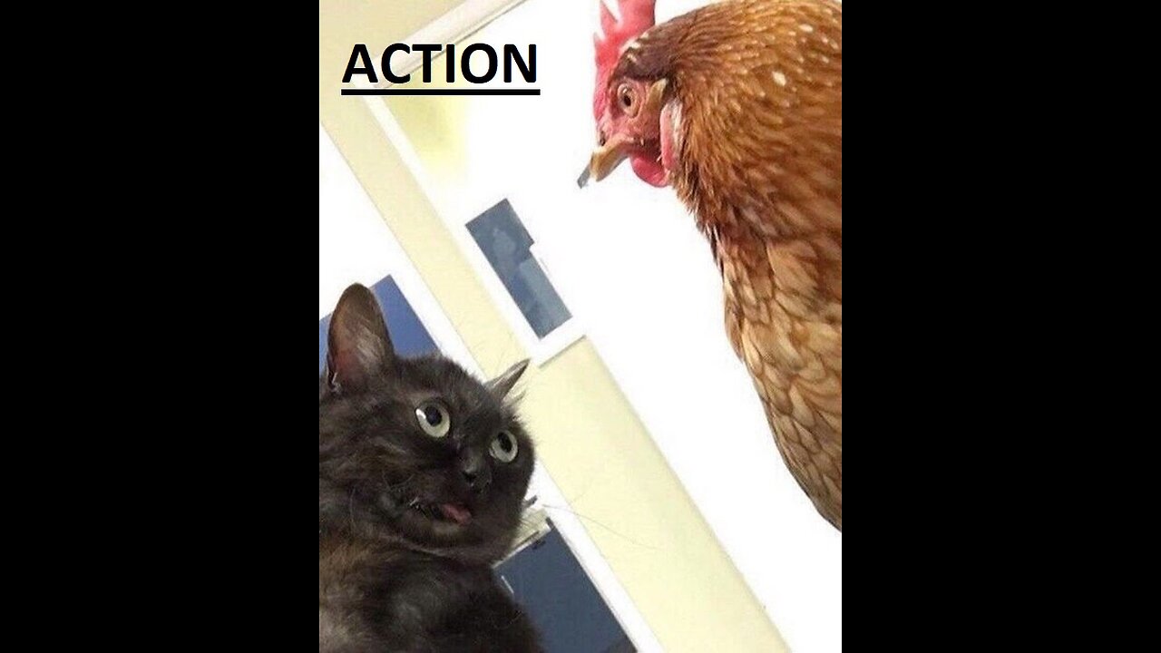 The Protector (2005) V2