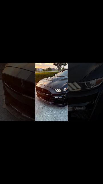 Pull up 🐍 #ford #mustangsociety #fordperformance #fordracing #shorts