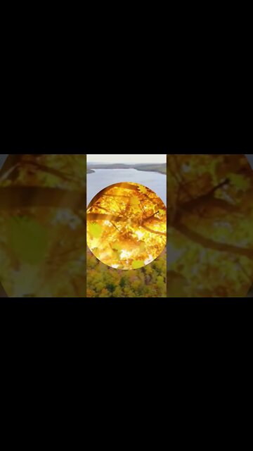 😎RELAXING MUSIC/DEEP SLEEP MUSIC/autumn ambience music #shorts