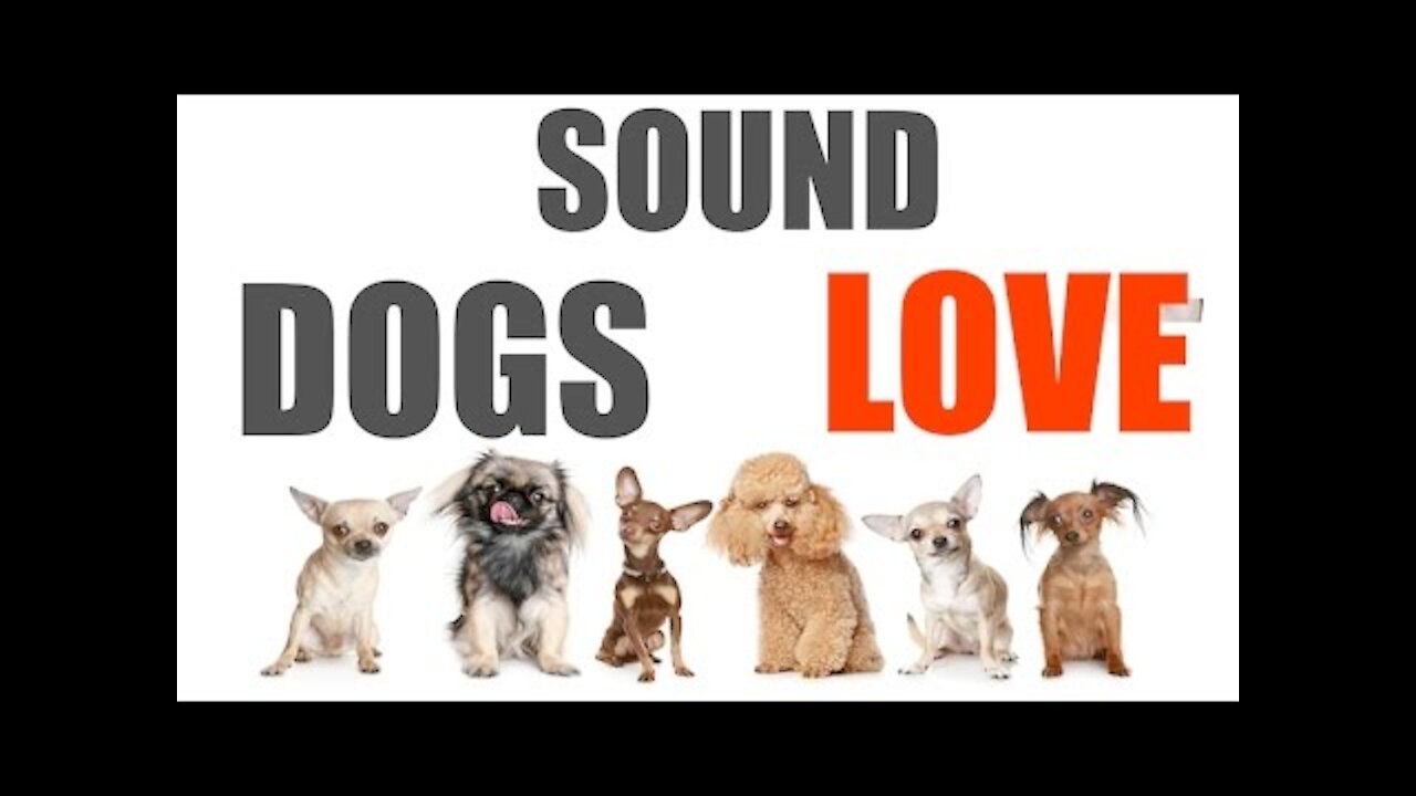 Sound Dogs Love All Time