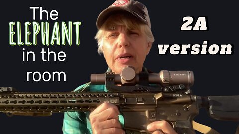 The Elephant in the 2A Room: Guns & Suicide