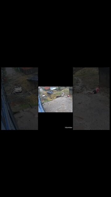 QUE PRISÃO FOI ESSA ? KKKKK #shorts #shortvideo