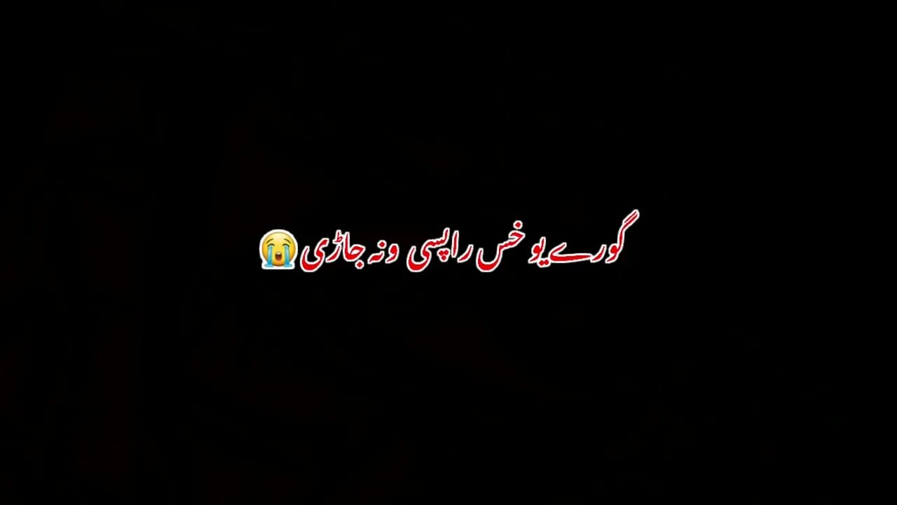 Pashto Black Screen poetry Pashto Shyari #episode1