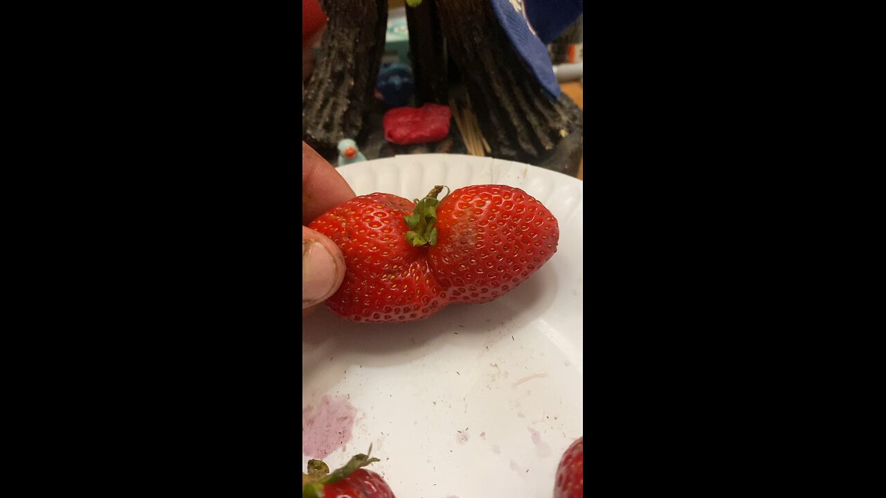 Siamese Strawberry