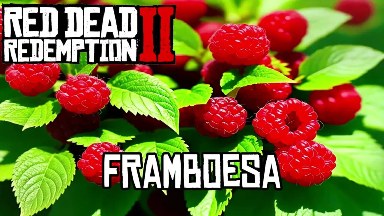 Localização da Framboesa Red Dead Online