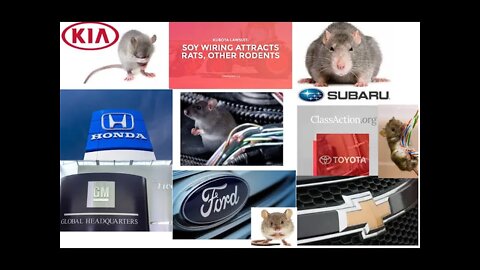 Dealing With Mice Control - Toyota & All Car Companies Making Cars Out of Mice Food