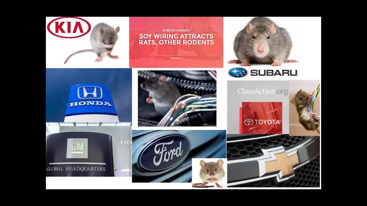 Dealing With Mice Control - Toyota & All Car Companies Making Cars Out of Mice Food