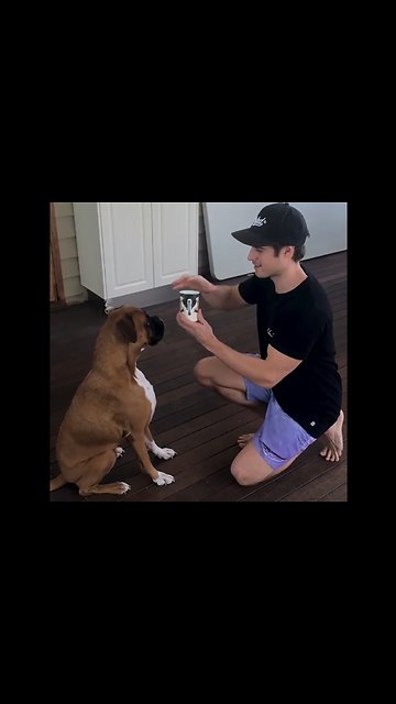 Dog Reacts to Magic Tricks!! 🐶