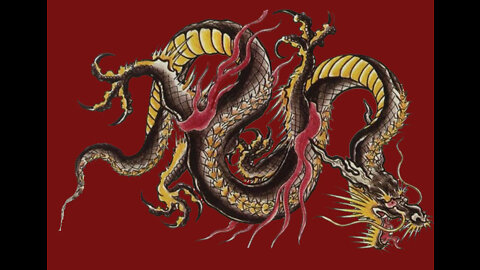 The year of the Dragon!