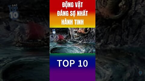 Quái Vật Đáng Sợ Nhất Hành Tinh - quái vật Charybdis