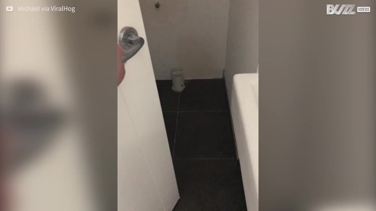 La porta di questo bagno è davvero fatta male