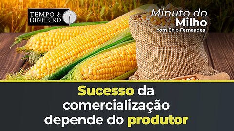 Sucesso da comercialização depende do produtor. Abra os olhos, indica Marcos Araújo