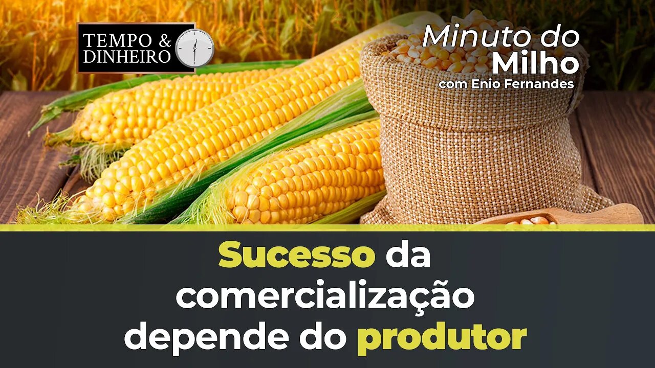 Sucesso da comercialização depende do produtor. Abra os olhos, indica Marcos Araújo