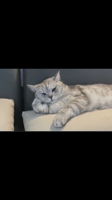 Thank you everyone for watching my video, subscribe to my channel and support