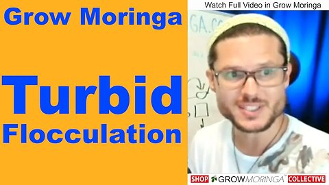 Moringa Seeds Filter Dirty Water | Pulls Muck to the Bottom of Jug | A Process Known As Flocculation